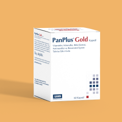 PANPLUS GOLD 60 KAPSUL