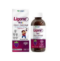 LIGONE KIDS UZUM CEKIRDEGI 200 ML