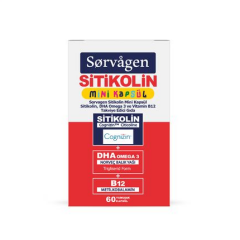Sorvagen Smart Kids Sitikolin DHA Omega 3 Norveç Balık Yağı B12 60 Kapsül