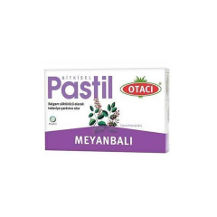 OTACI MEYAN BALI PASTIL 16 ADET